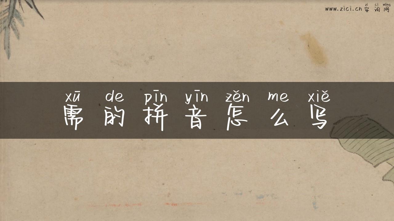 需的拼音怎么写