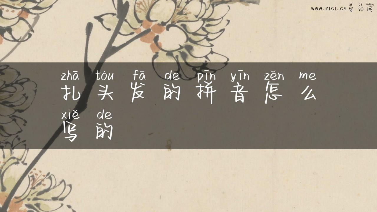扎头发的拼音怎么写的