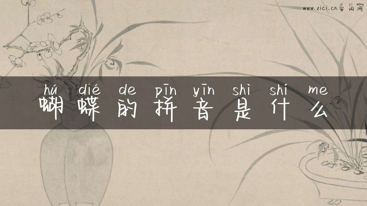 蝴蝶的拼音是什么