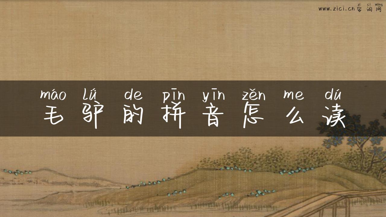 毛驴的拼音怎么读