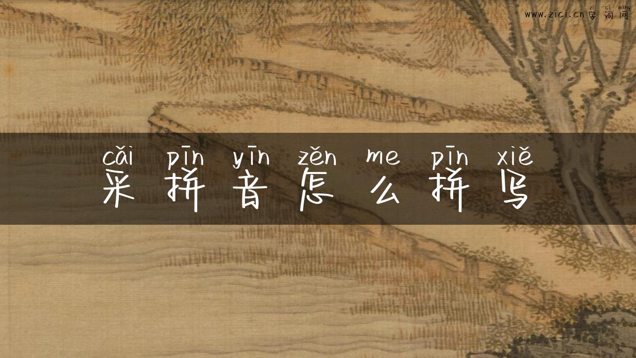 采拼音怎么拼写