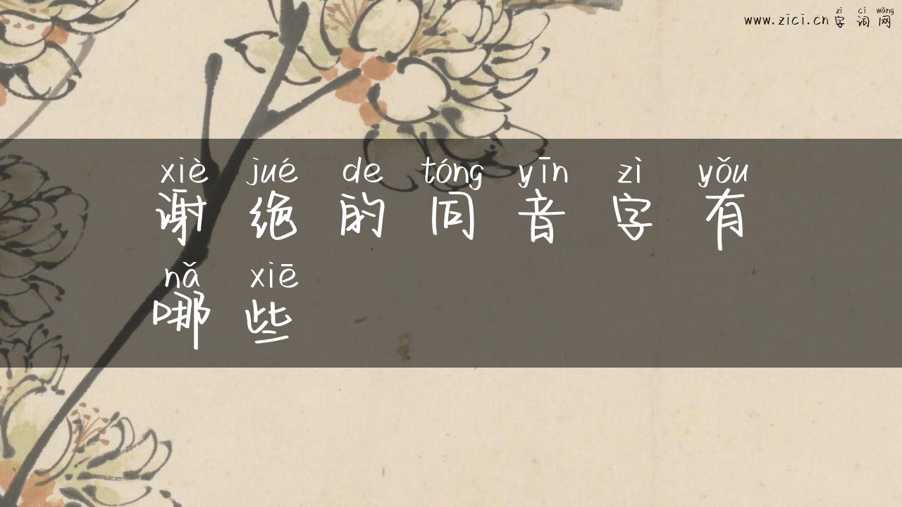 谢绝的同音字有哪些