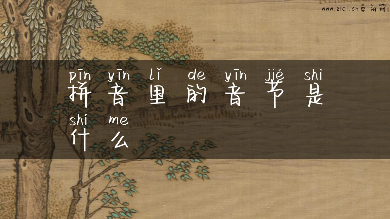 拼音里的音节是什么