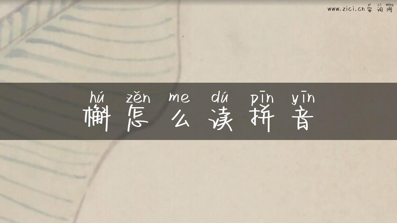 槲怎么读拼音