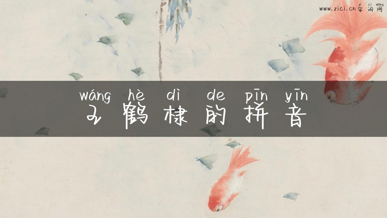 王鹤棣的拼音