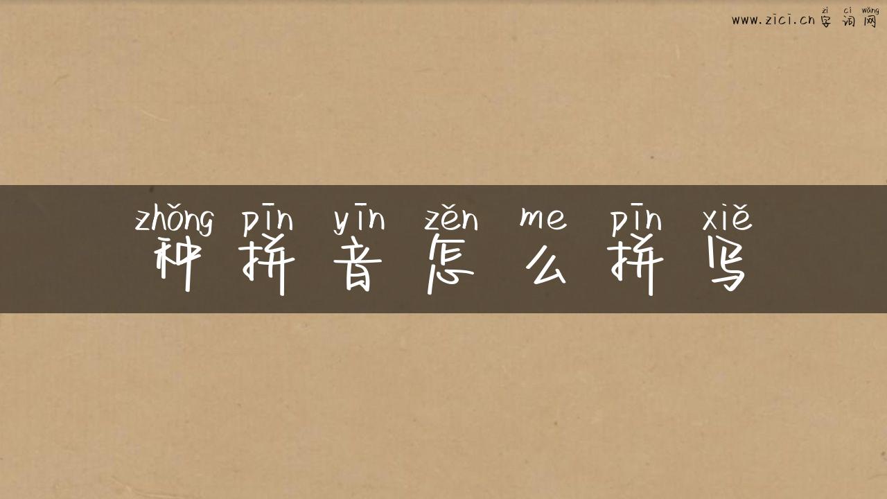 种拼音怎么拼写