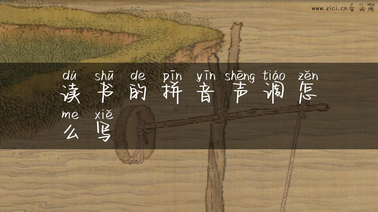 读书的拼音声调怎么写