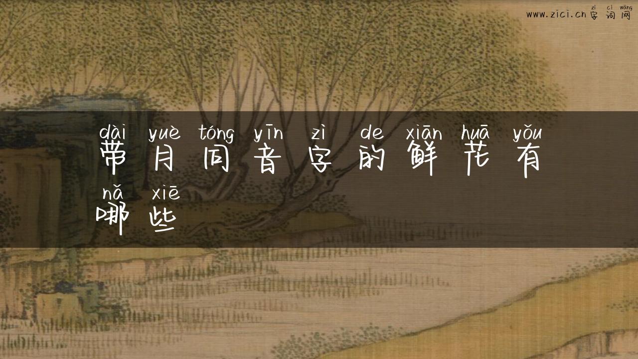 带月同音字的鲜花有哪些