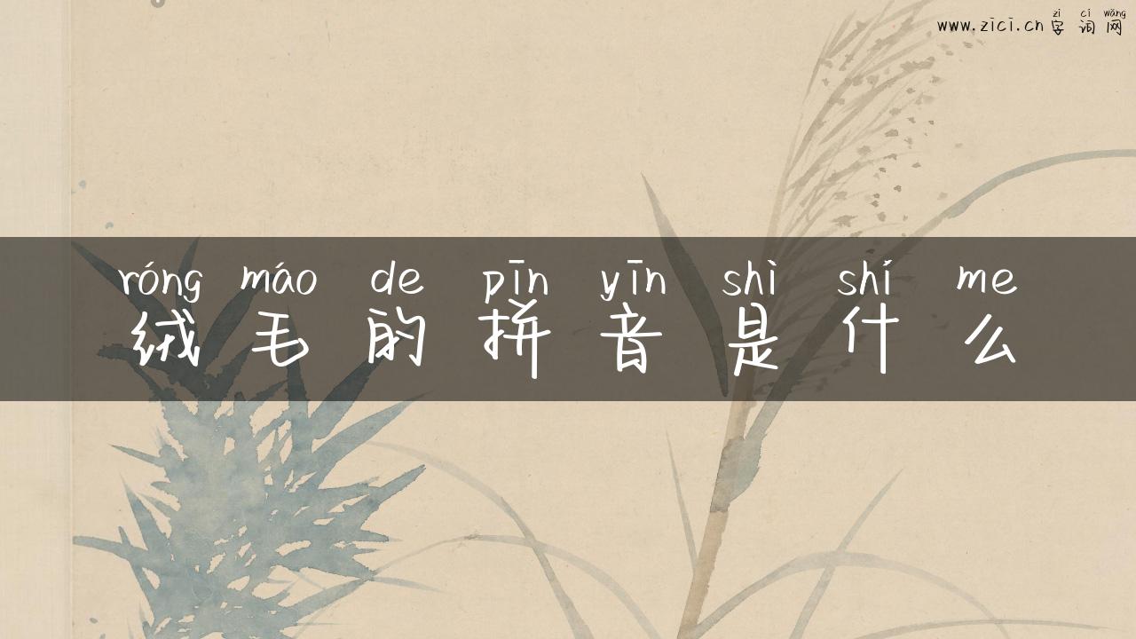 绒毛的拼音是什么