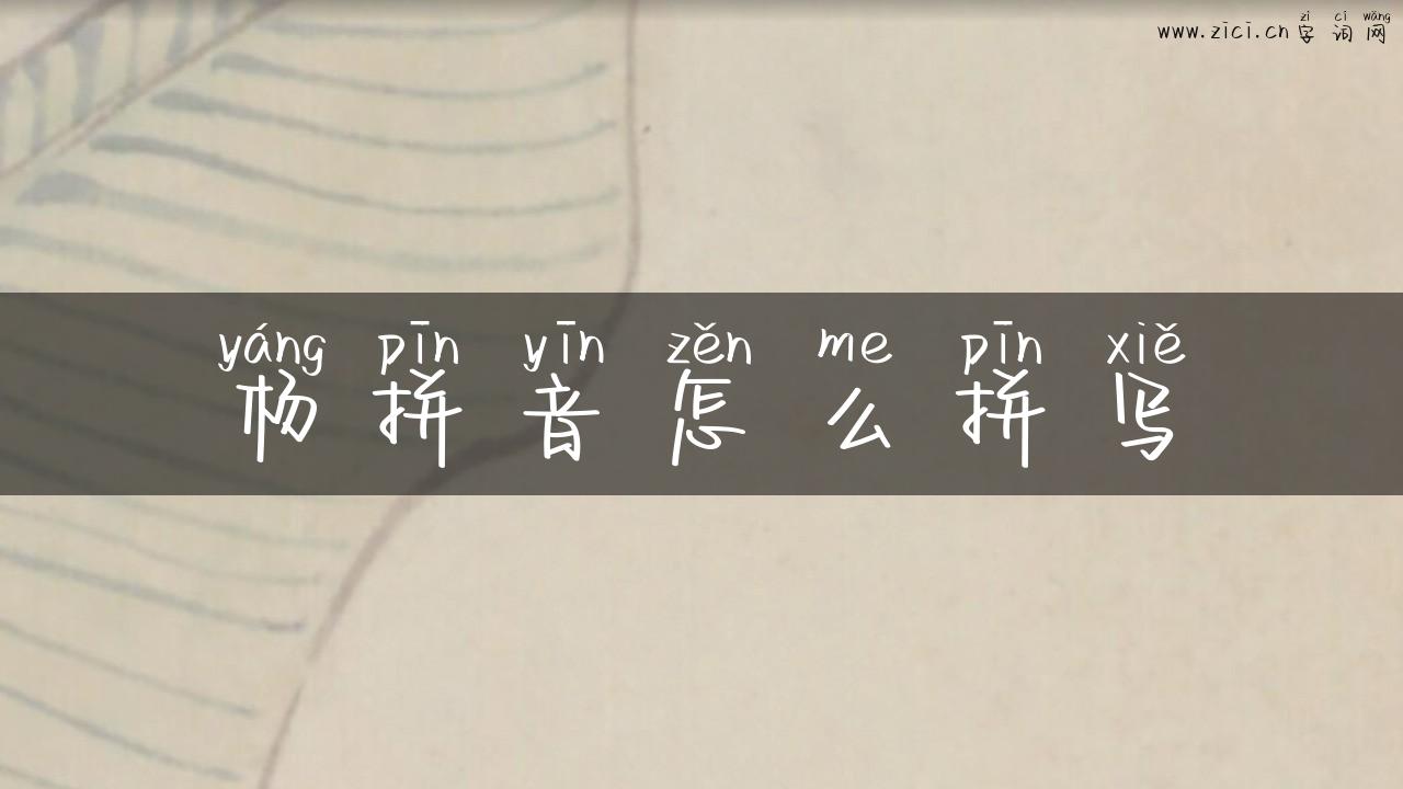 杨拼音怎么拼写
