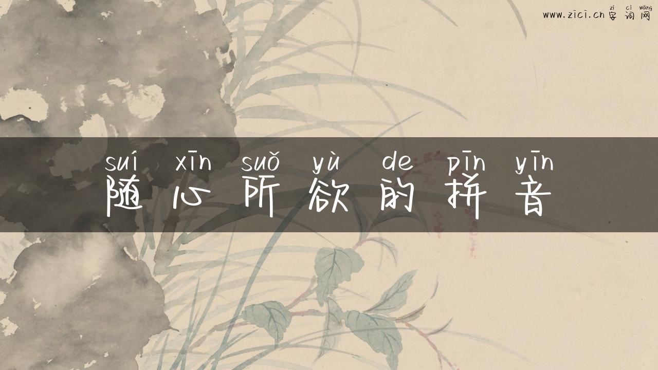 随心所欲的拼音