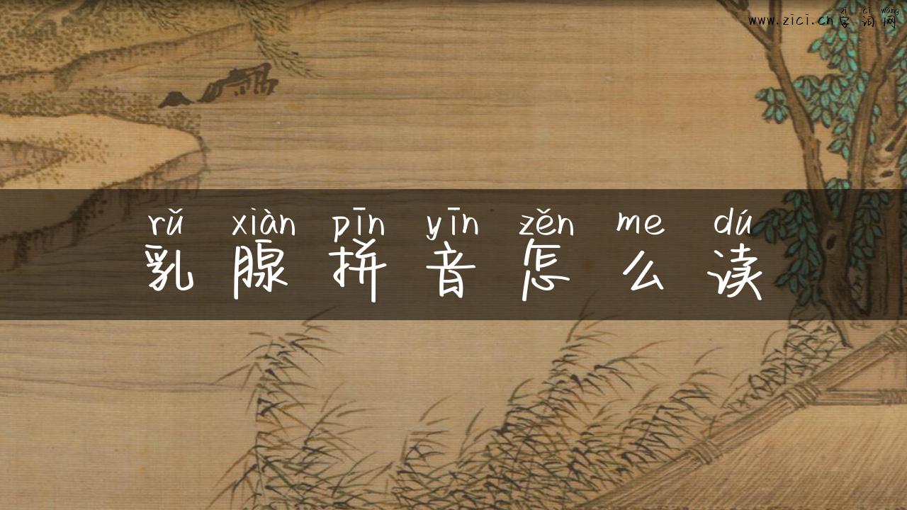 乳腺拼音怎么读