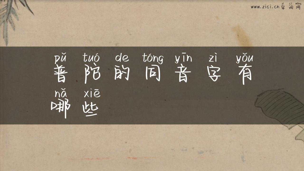 普陀的同音字有哪些