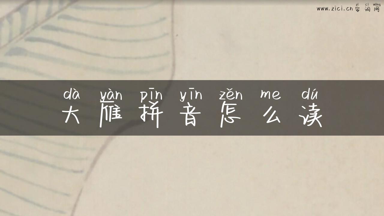 大雁拼音怎么读