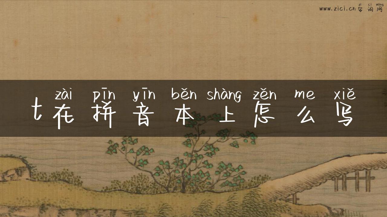 t在拼音本上怎么写