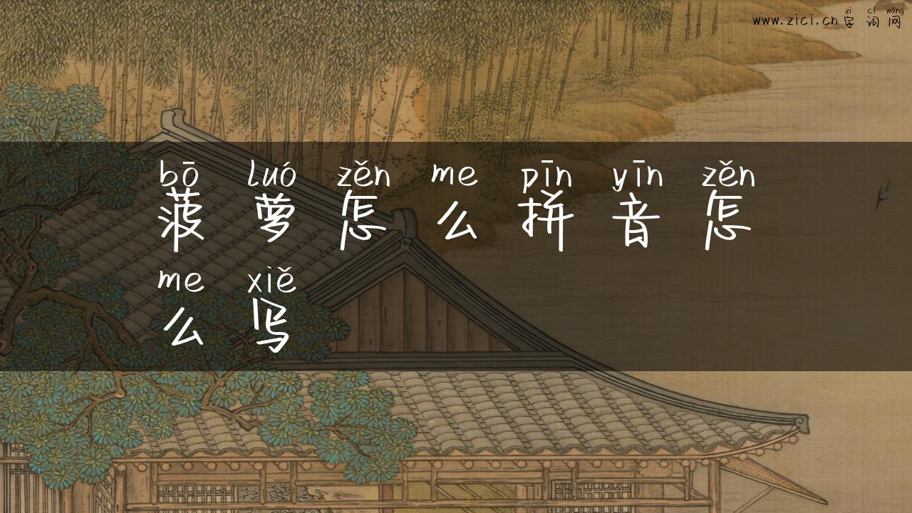 菠萝怎么拼音怎么写