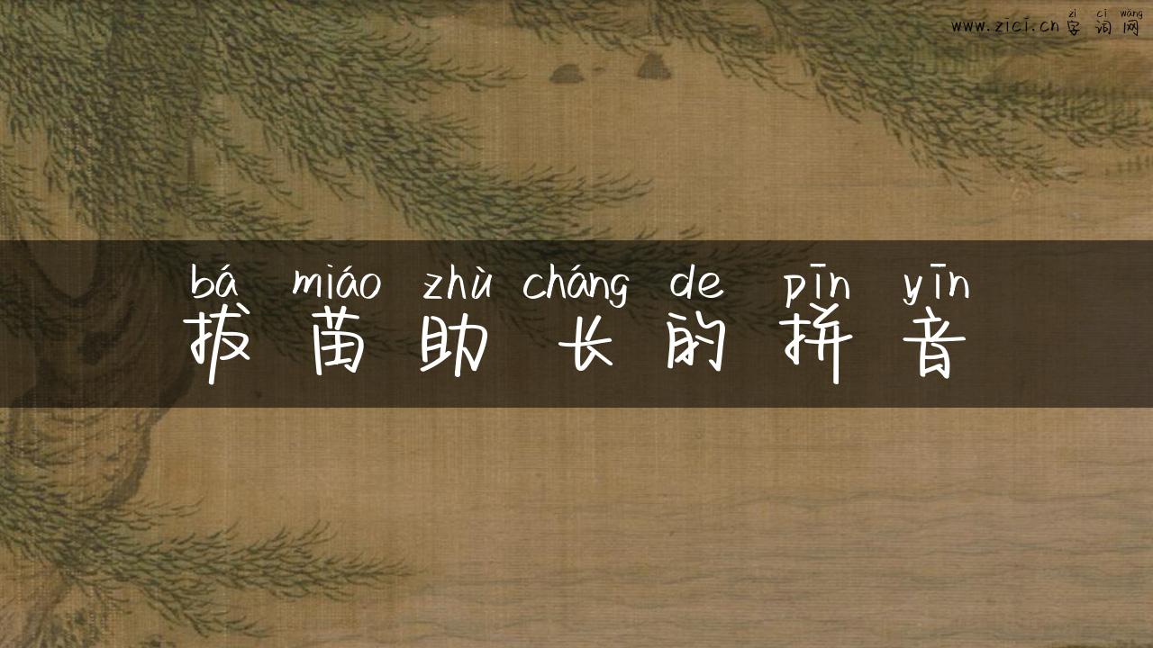 拔苗助长的拼音