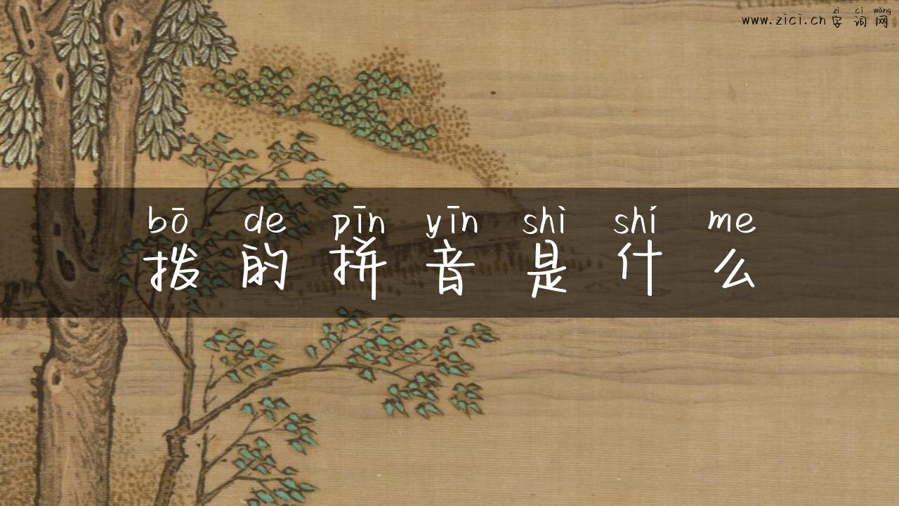 拨的拼音是什么