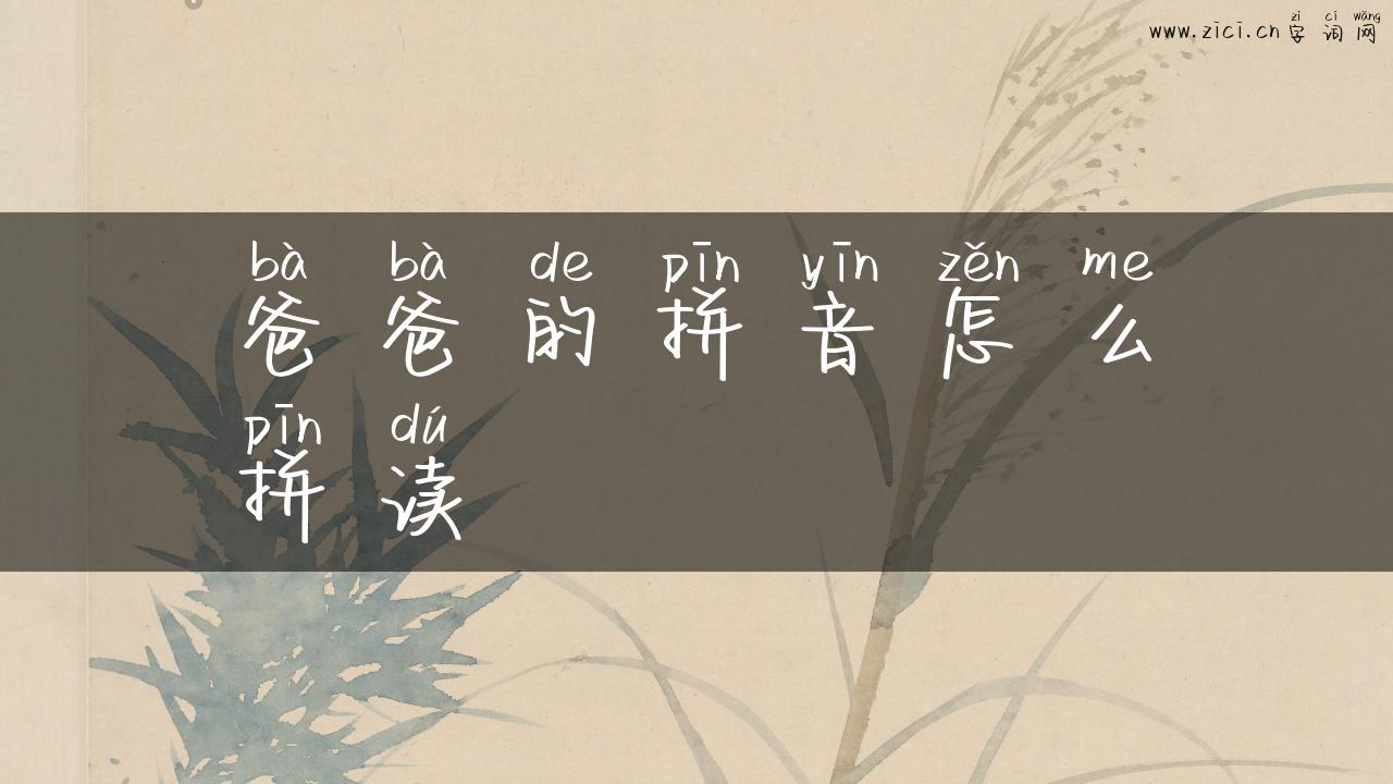 爸爸的拼音怎么拼读