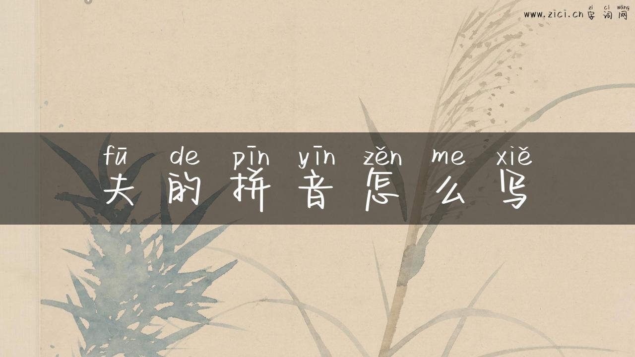 夫的拼音怎么写