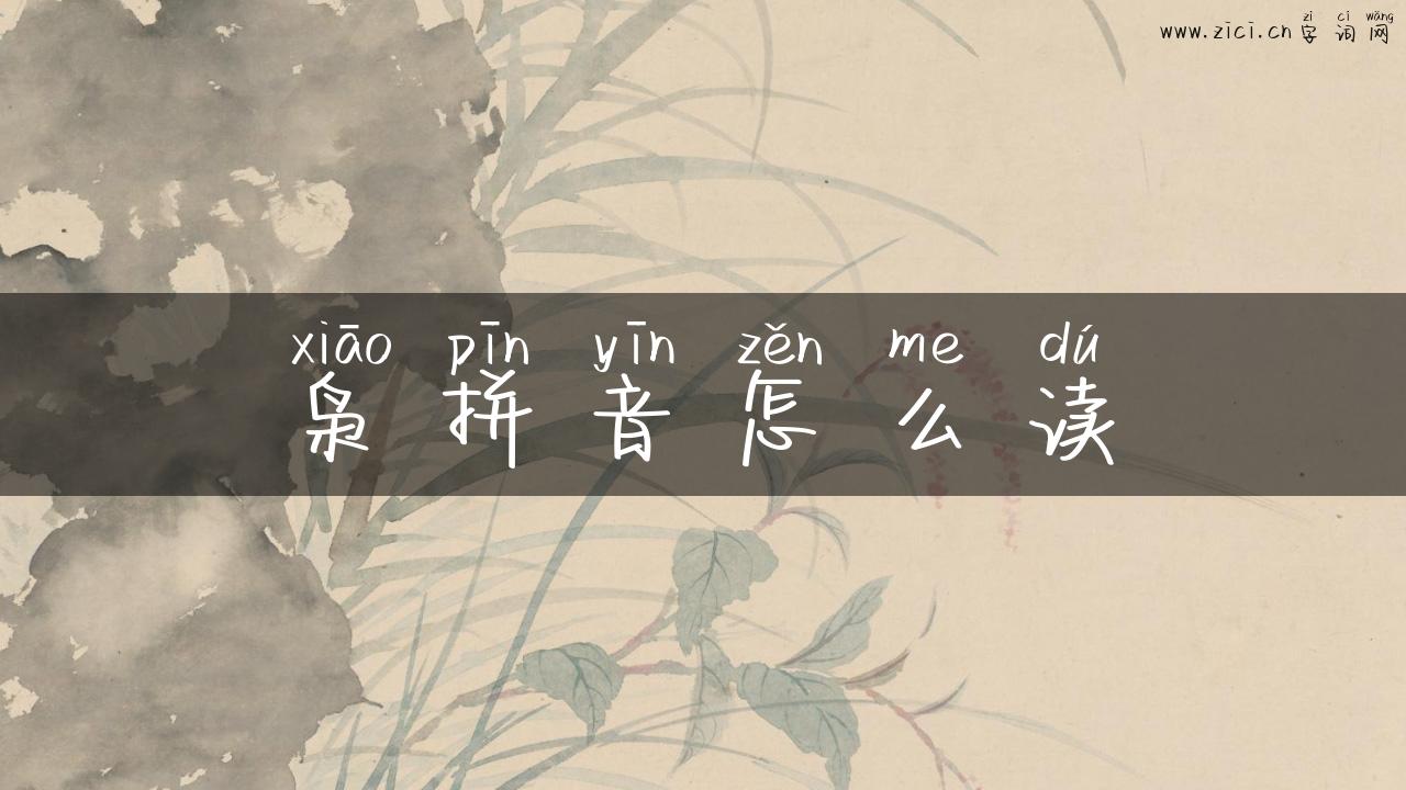 枭拼音怎么读