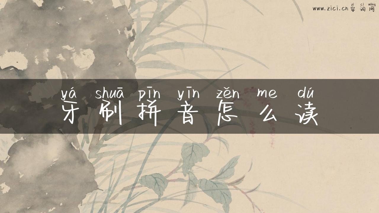 牙刷拼音怎么读
