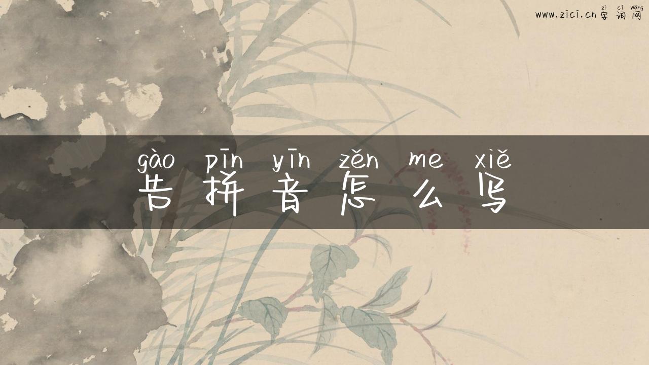 告拼音怎么写
