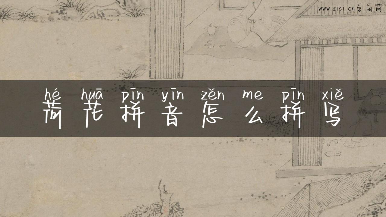 荷花拼音怎么拼写