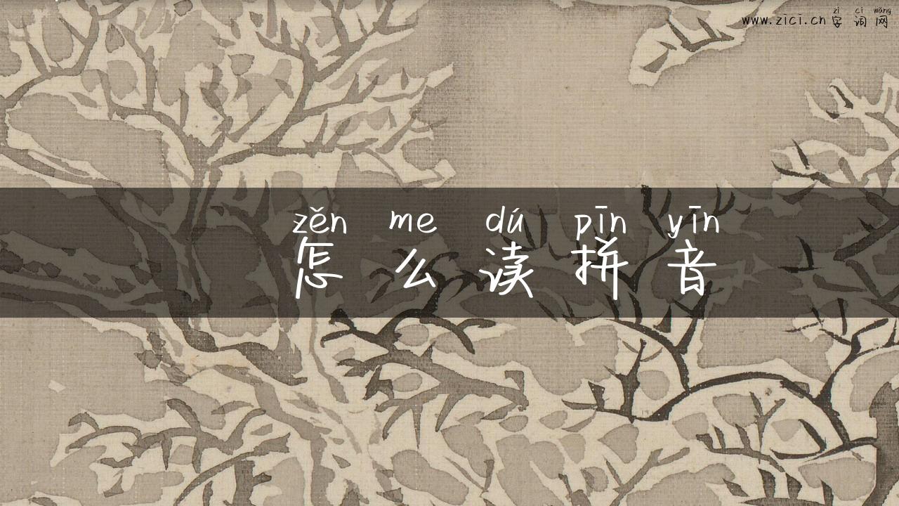 曌怎么读拼音
