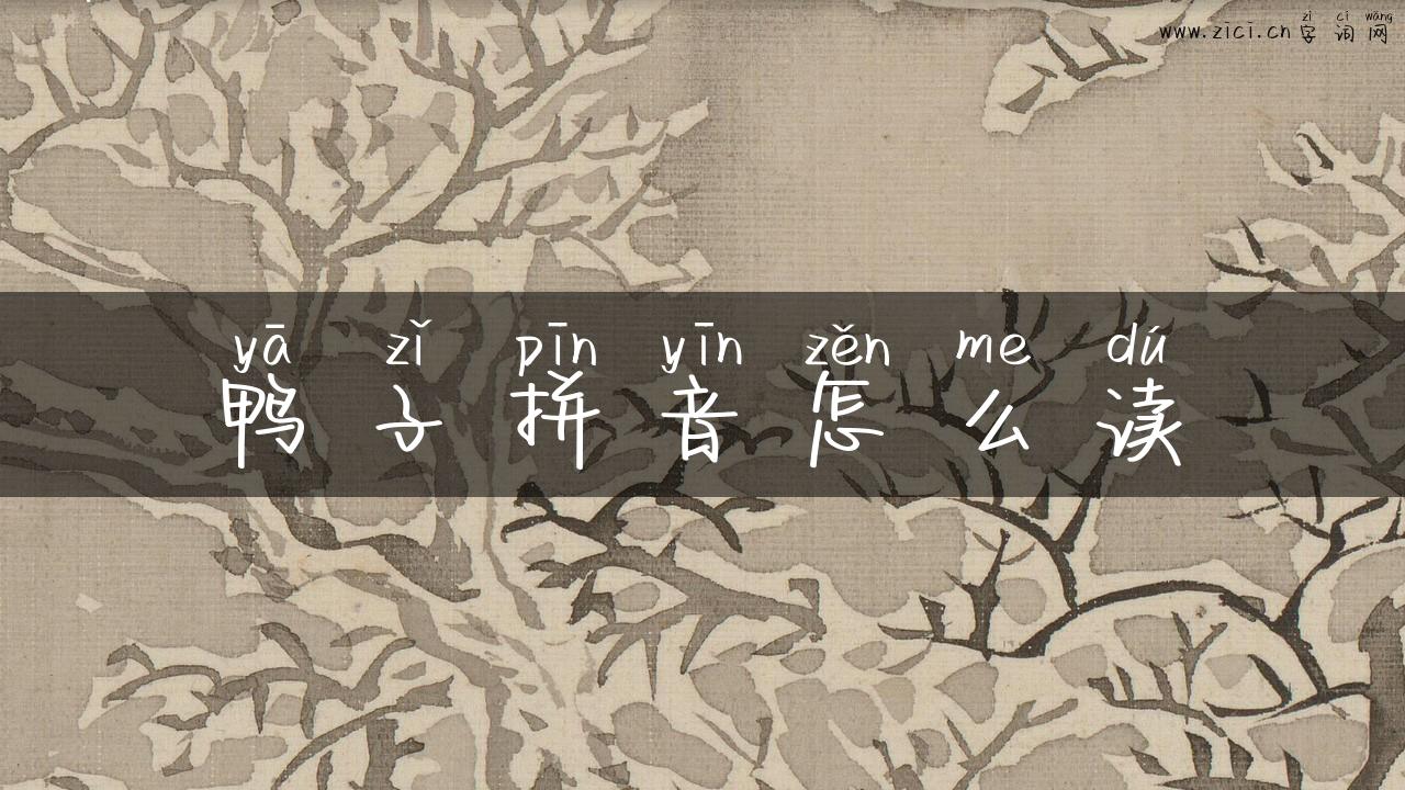 鸭子拼音怎么读