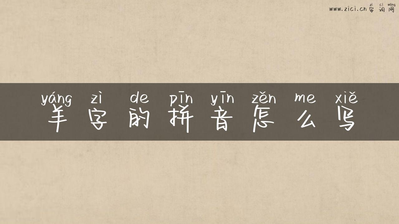 羊字的拼音怎么写