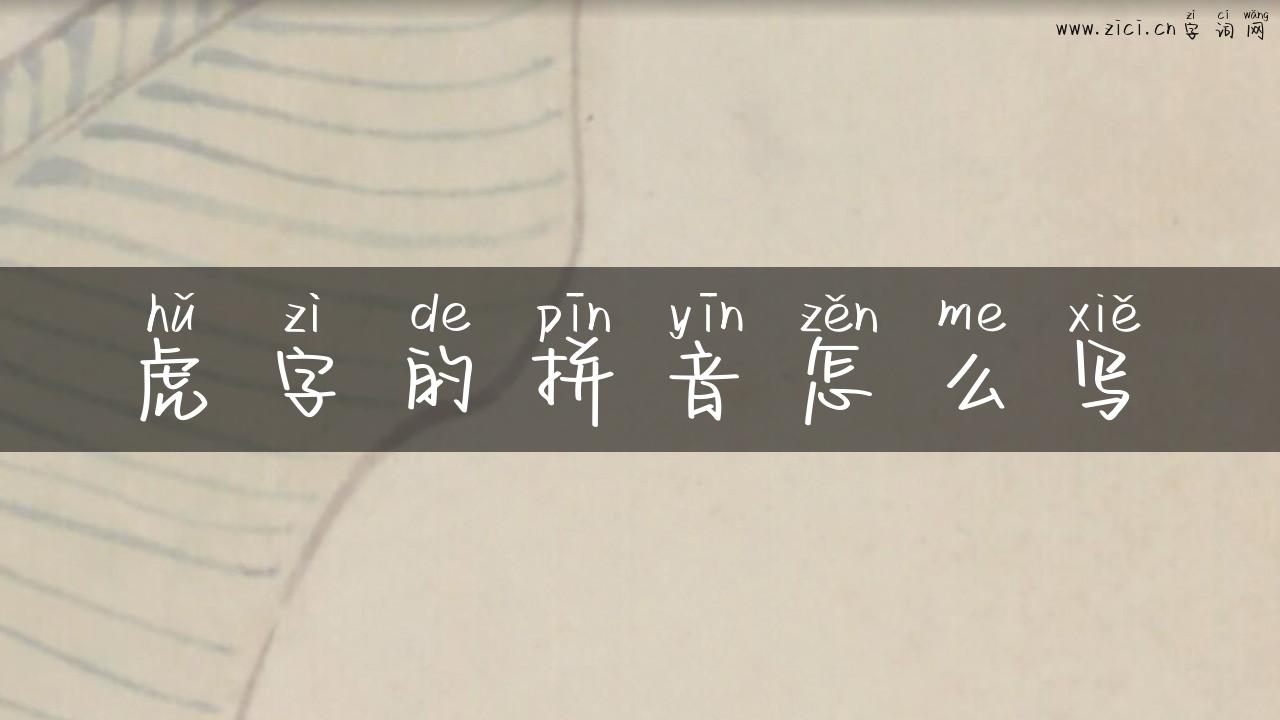 虎字的拼音怎么写