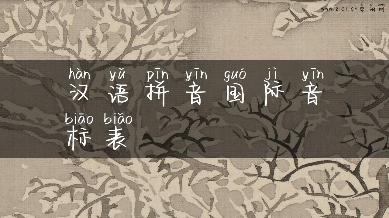 汉语拼音国际音标表