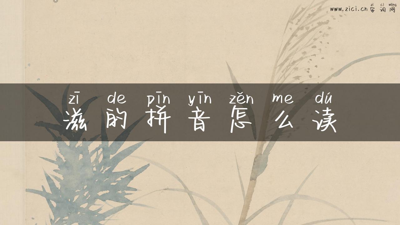 滋的拼音怎么读