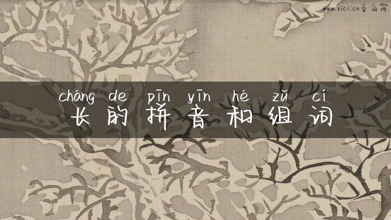 长的拼音和组词