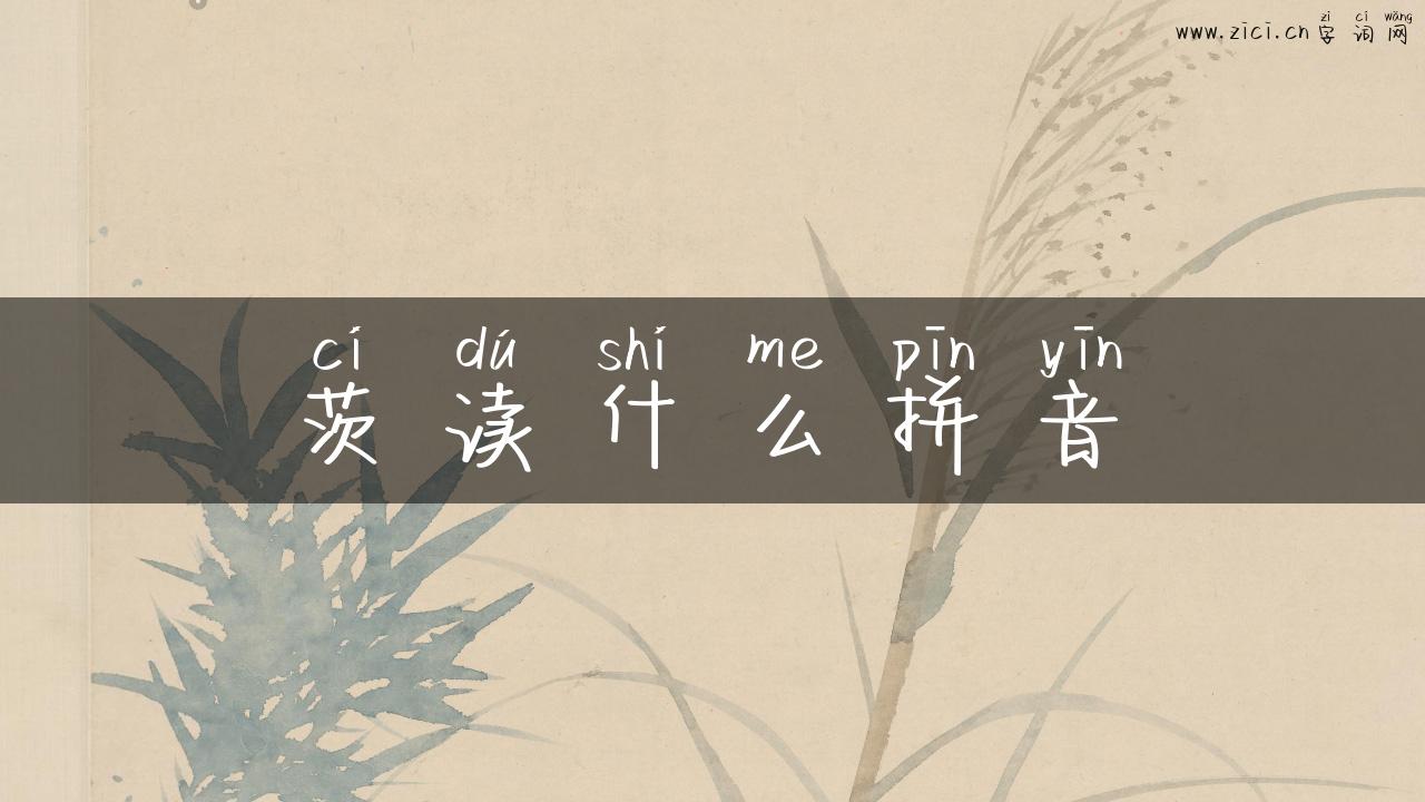 茨读什么拼音