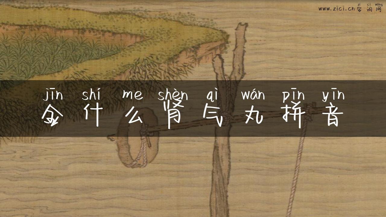 金什么肾气丸拼音