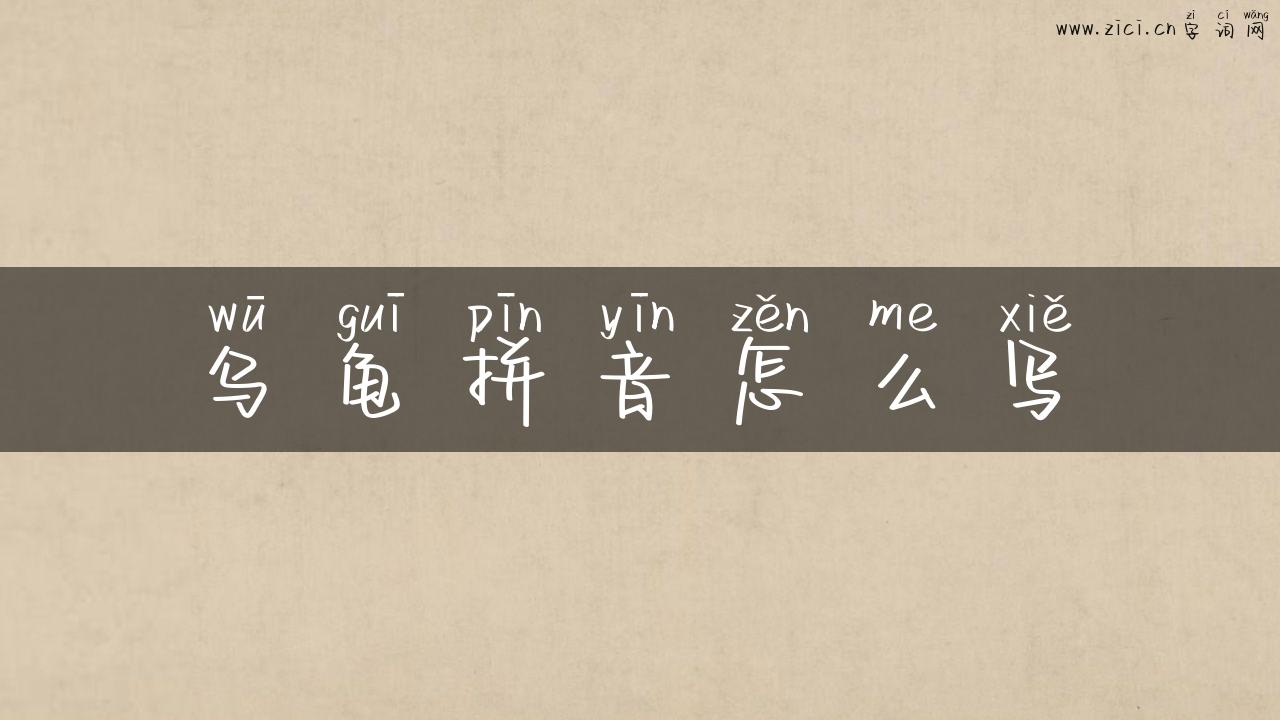 乌龟拼音怎么写