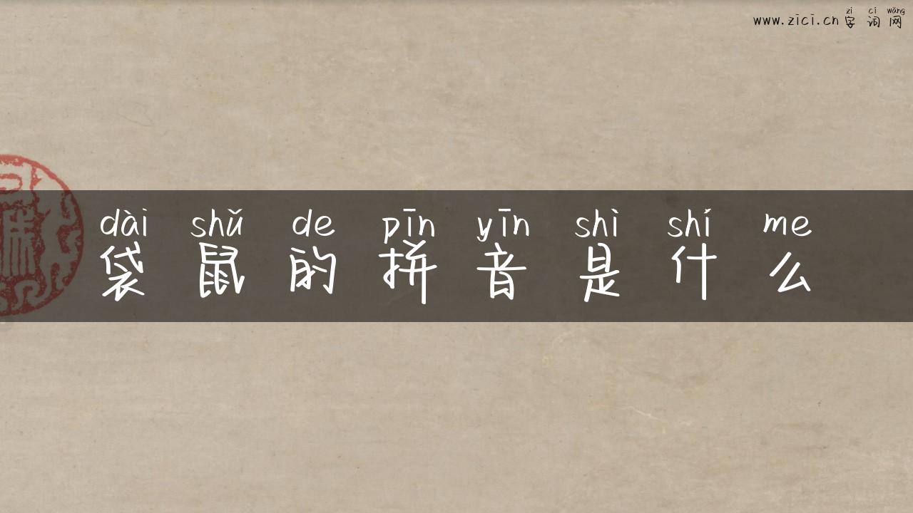 袋鼠的拼音是什么