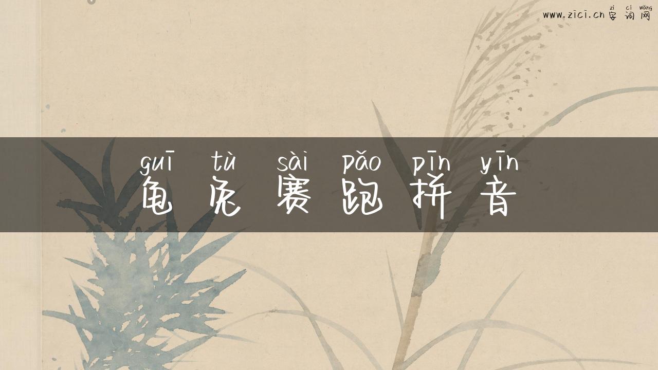 龟兔赛跑拼音