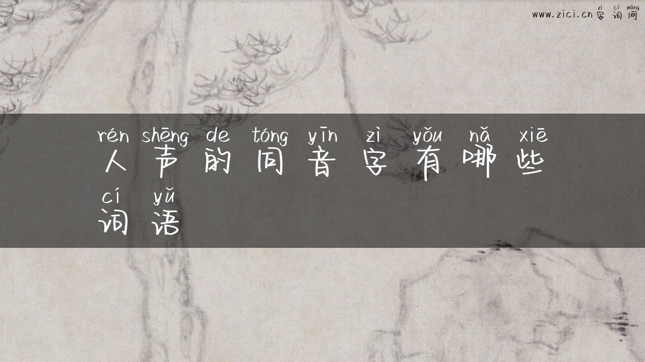人声的同音字有哪些词语