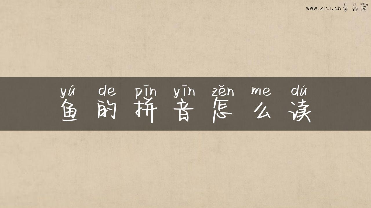 鱼的拼音怎么读