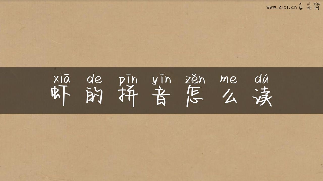 虾的拼音怎么读