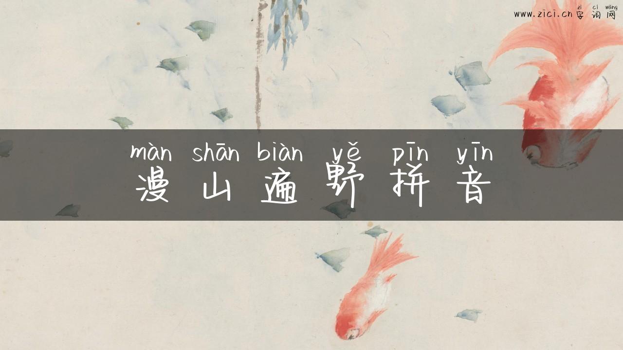 漫山遍野拼音