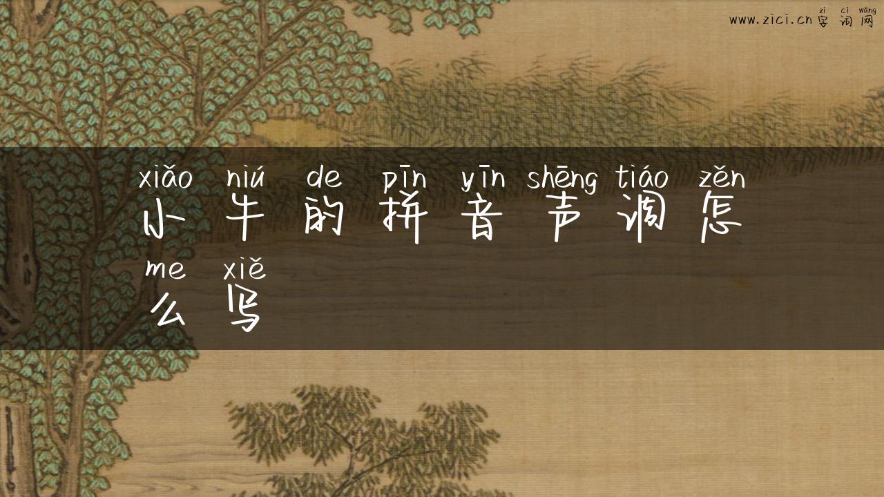 小牛的拼音声调怎么写