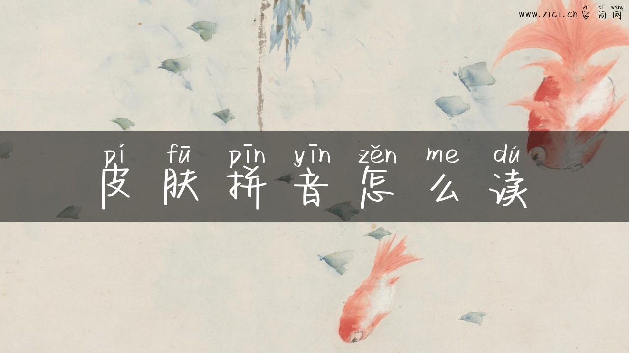 皮肤拼音怎么读