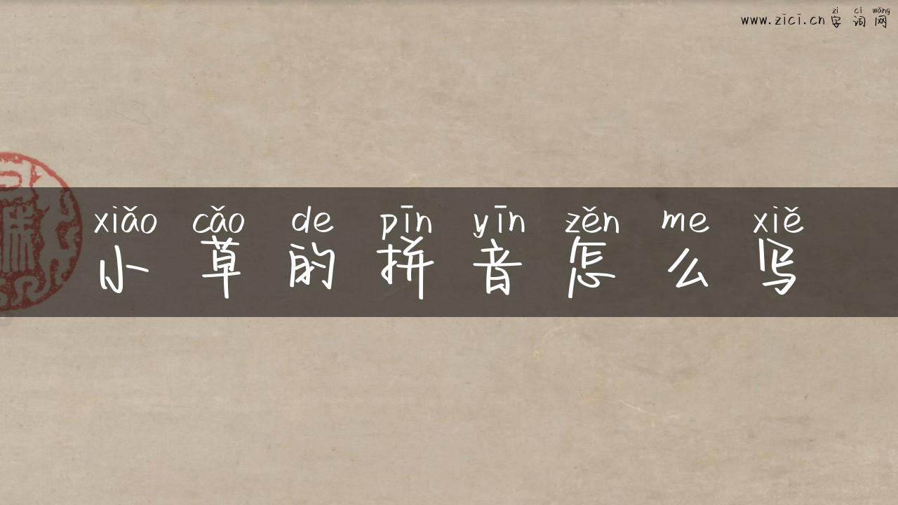 小草的拼音怎么写