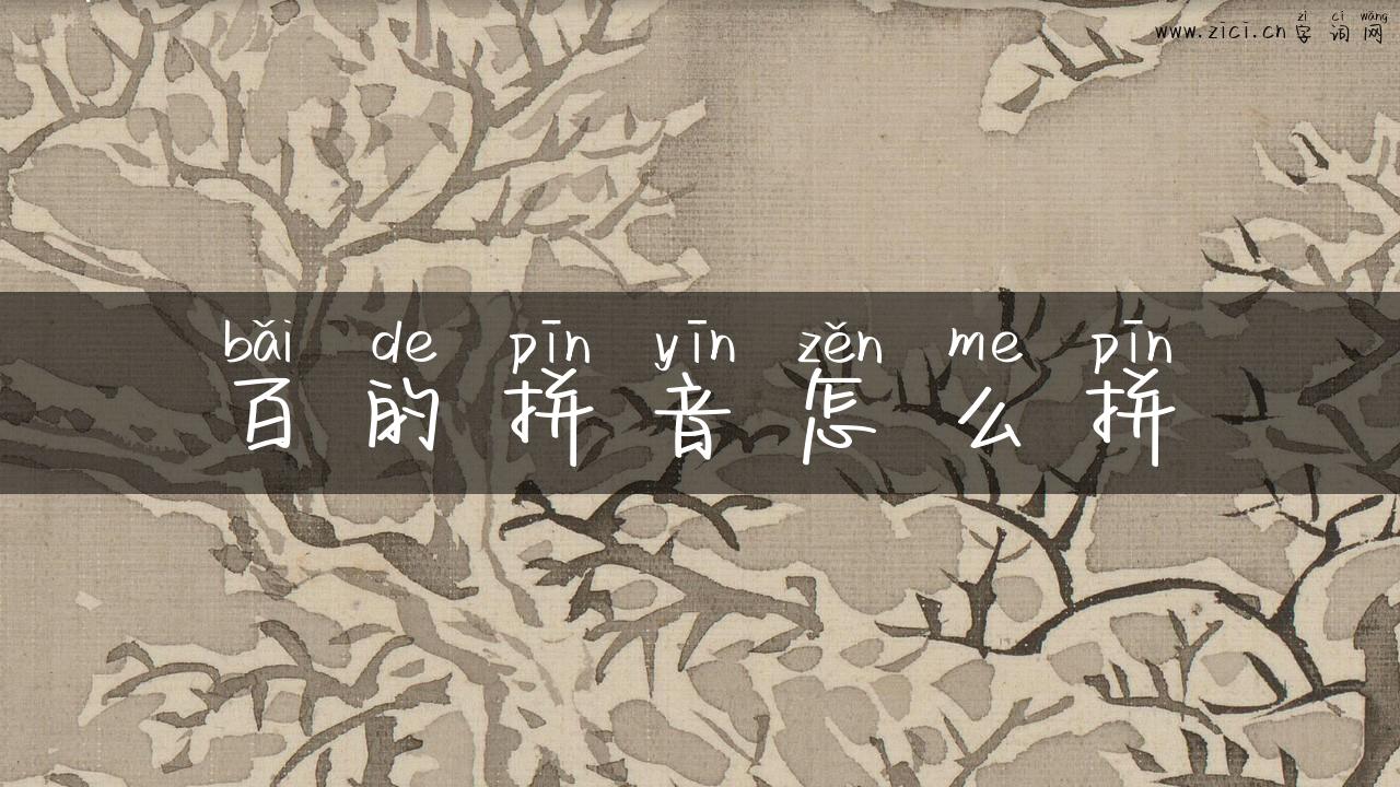 百的拼音怎么拼