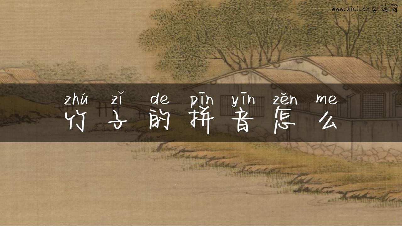 竹子的拼音怎么