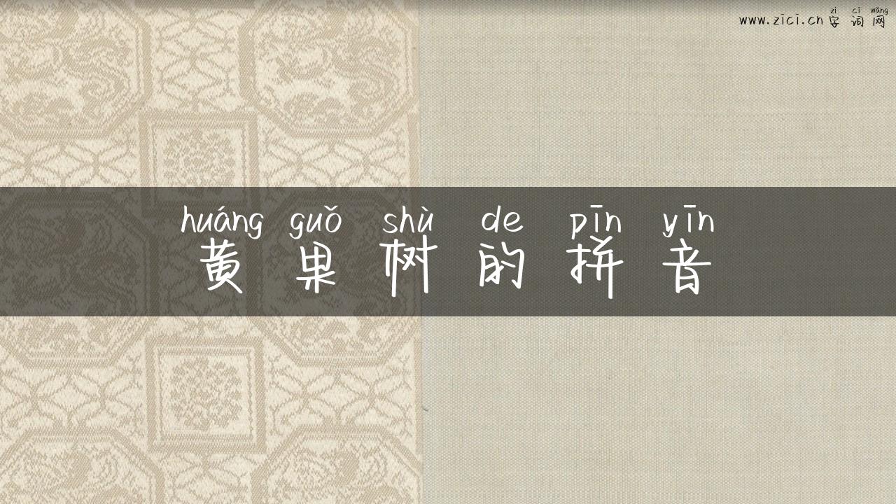 黄果树的拼音